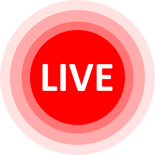 Vixenp Stripchat